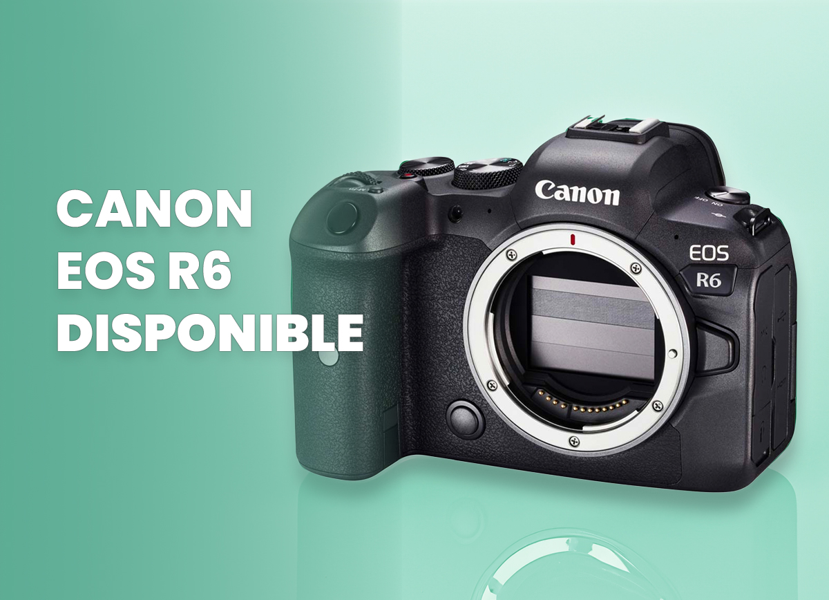 CANON R6