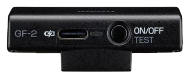 RICOH<br/>GF2 FLASH