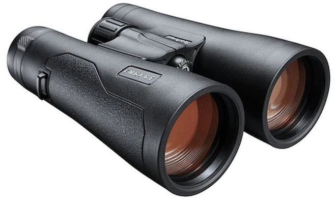 BUSHNELL JUMELLES ENGAGE - 10X50 PRISME TOIT