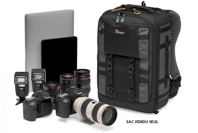 LOWEPRO<br/>PRO TREKKER BP 350 AW II GRIS SAC A DOS