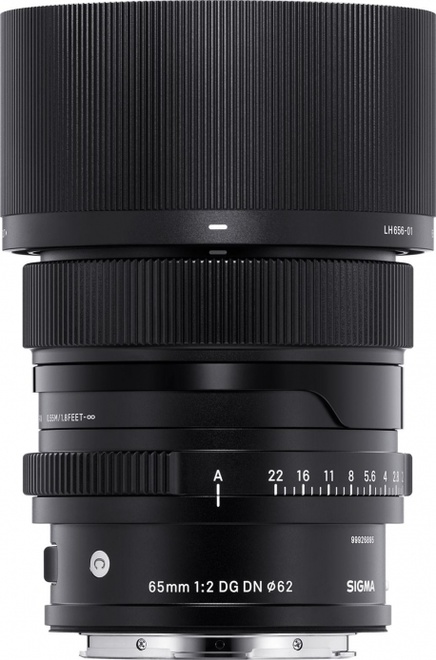 SIGMA<br/>65/2 DG DN CONT SONY E - 353965