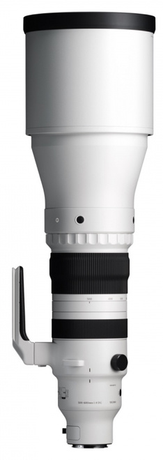 SIGMA<br/>300-600/4 DG OS SPORTS SONY E