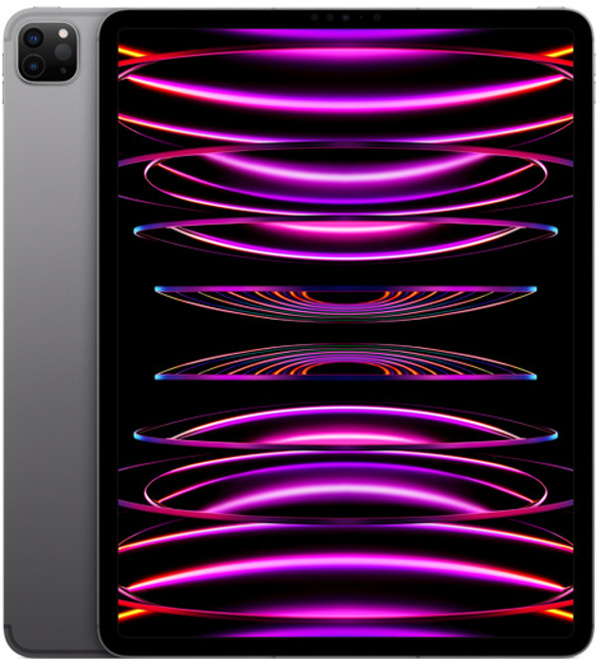 APPLE<br/>IPAD PRO 4G.12.9.256go.space grey.