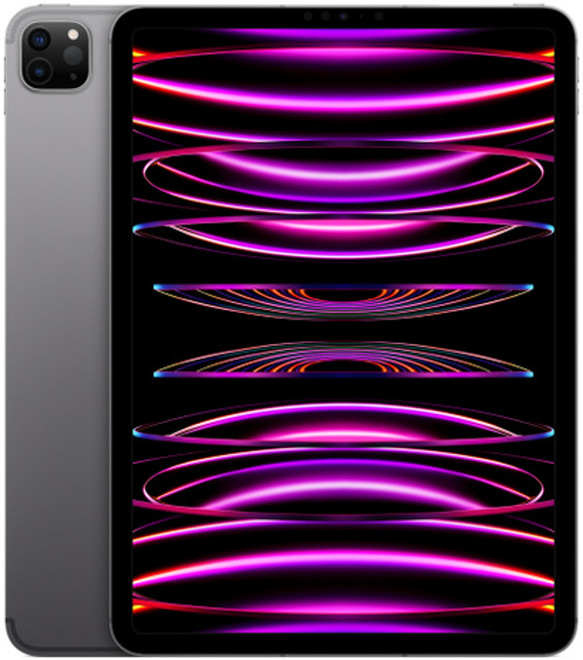 APPLE<br/>IPAD PRO 4G.11.1to.space grey.
