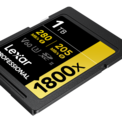 LEXAR<br/>SD PRO GOLD UHS-II 1800X 1TB V60
