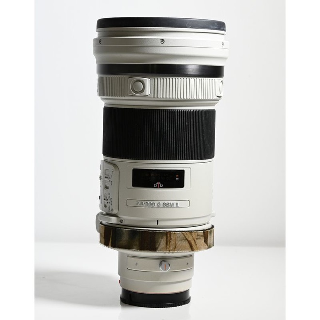 Sony A 300mm f/2.5 G SSM II