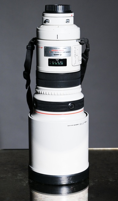 Canon EF 300mm f/2.8 L IS USM