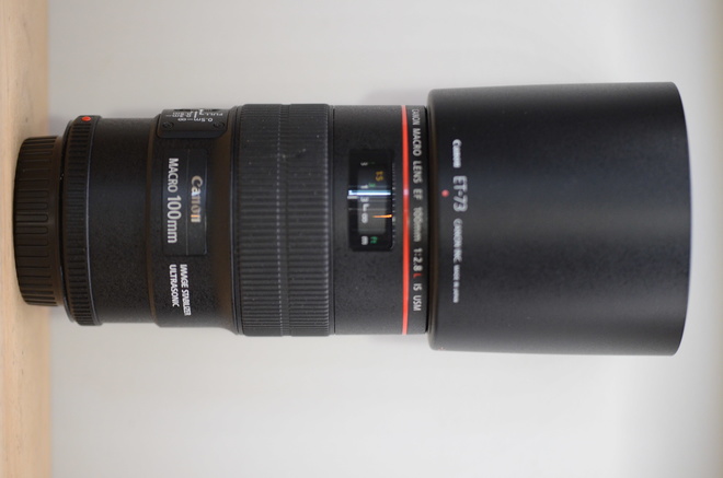 CANON EF 100/2.8 L MACRO USM