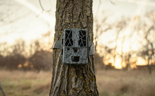 BUSHNELL SPYPOINT PIEGE TRAIL CAM FORCE PRO DARK