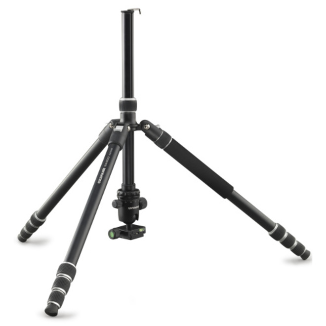 CULLMAN<br/>TREPIED NANDO 580M RB8.5