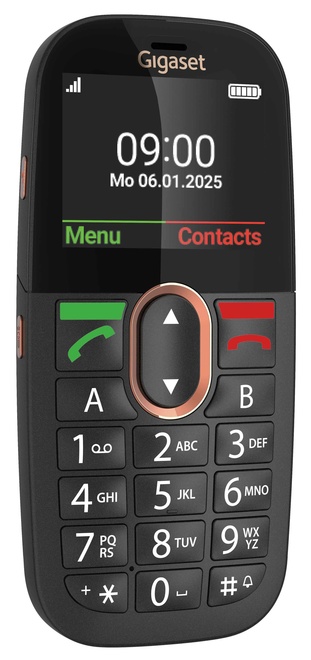 GIGASET<br/>GL695
