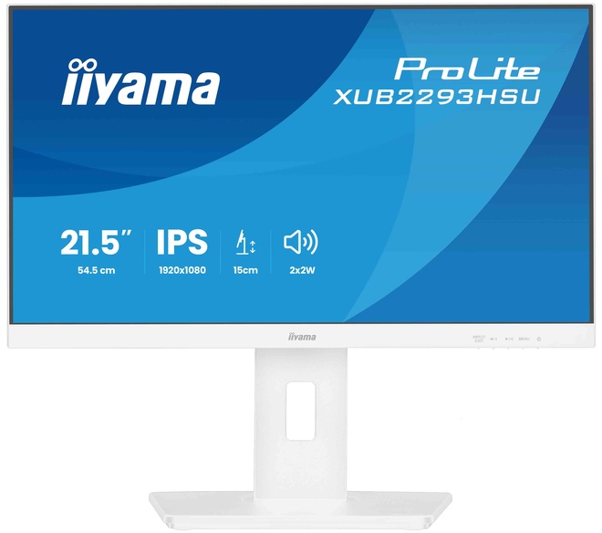 IIYAMA<br/>22.ips.1920x1080.100hz.reg haut.blc.