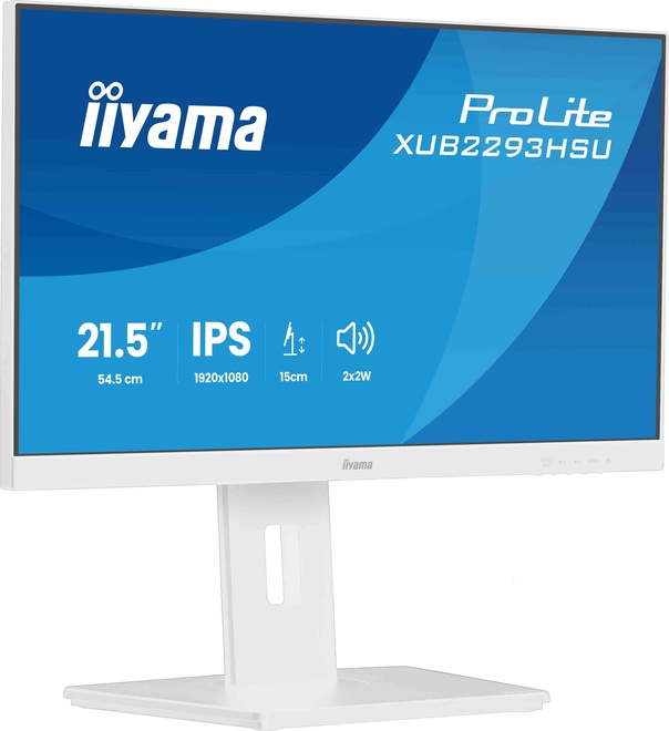 IIYAMA<br/>22.ips.1920x1080.100hz.reg haut.blc.