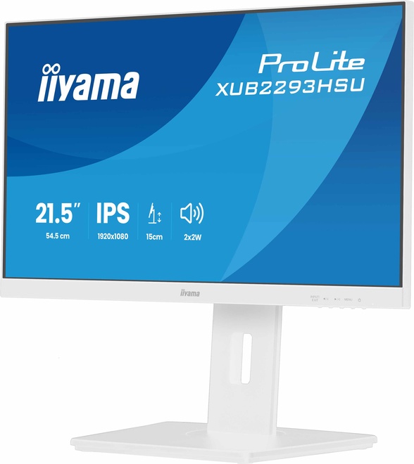 IIYAMA<br/>22.ips.1920x1080.100hz.reg haut.blc.