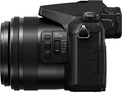 PANASONIC<br/>DMC-FZ2000