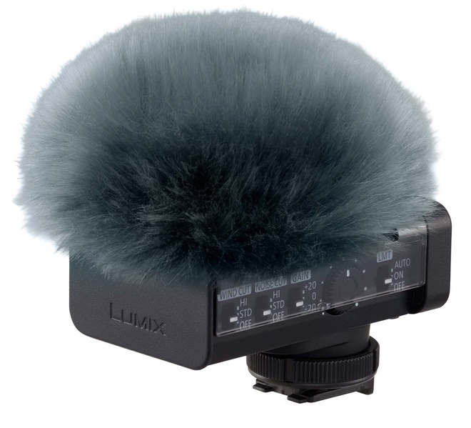 PANASONIC<br/>MICRO LUMIX DMW-DMS1