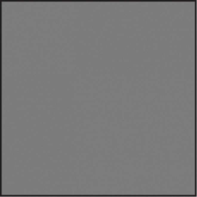 LEE FILTERS<br/>Polarisant circulaire 100 x 100