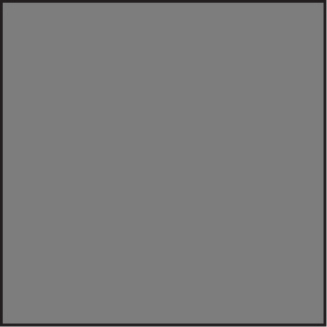 LEE FILTERS<br/>Filtre ND 0.6 standard 100 x 100