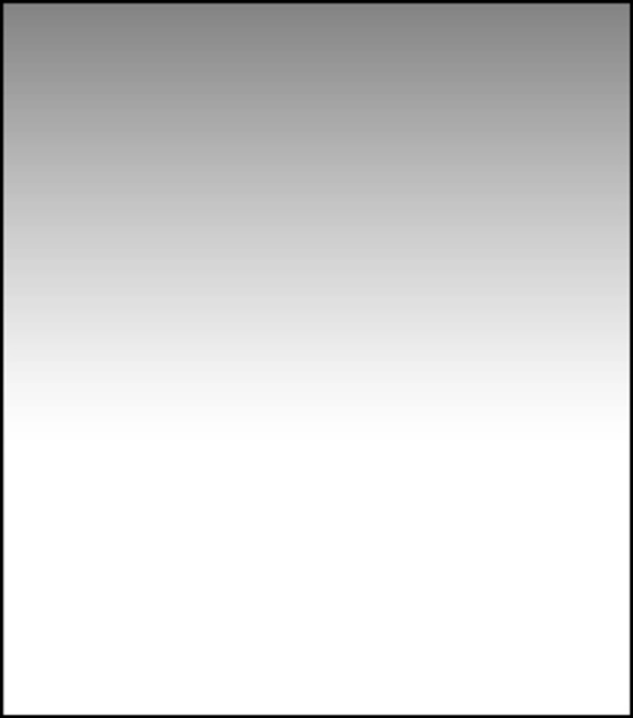 LEE FILTERS<br/>Filtre degrade ND 0.6 Soft 150x170