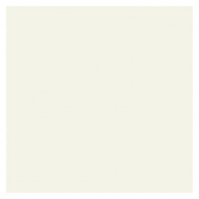 COLORAMA<br/>FOND 355 X 300 BLANC