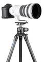 LEOFOTO<br/>PL-150 PLAQUE D OBJECTIF 150MM