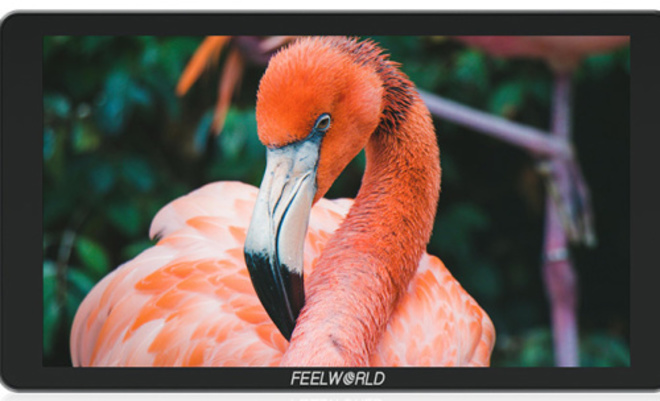 FEELWORLD<br/>MONITEUR P6XL
