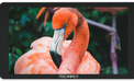 FEELWORLD<br/>MONITEUR P6XL