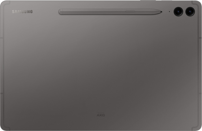 SAMSUNG INFORMATIQUE<br/>TAB S9 FE+.5G.12,4.128go.gray.