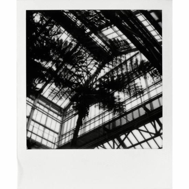 IMPOSSIBLE<br/>film sx70 b/w gen2.